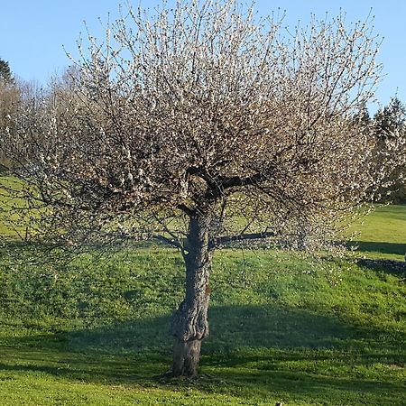 Saint-Martin-en-Vercors Gite Bard Des Ours מראה חיצוני תמונה
